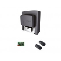 CAME BX608AGS combo KIT